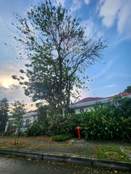 Leedon Road (D10), Detached #596358161